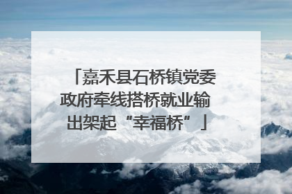 嘉禾县石桥镇党委政府牵线搭桥就业输出架起“幸福桥”