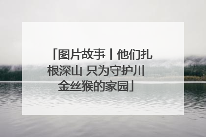 图片故事丨他们扎根深山 只为守护川金丝猴的家园