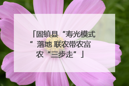 固镇县“寿光模式”落地 联农带农富农“三步走”