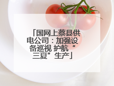 国网上蔡县供电公司：加强设备巡视 护航“三夏”生产