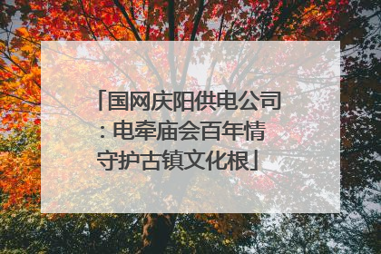 国网庆阳供电公司:电牵庙会百年情 守护古镇文化根