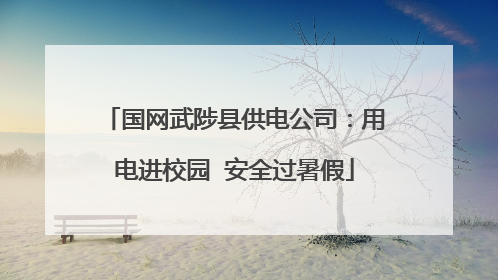 国网武陟县供电公司：用电进校园  安全过暑假