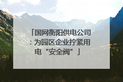国网衡阳供电公司：为园区企业拧紧用电“安全阀”