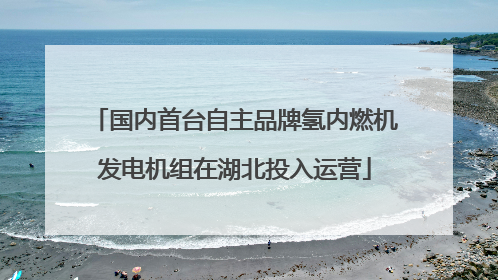 国内首台自主品牌氢内燃机发电机组在湖北投入运营