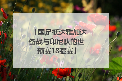 国足抵达雅加达备战与印尼队的世预赛18强赛