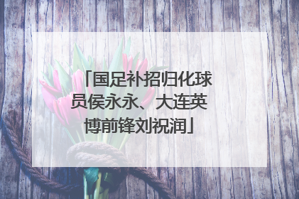 国足补招归化球员侯永永、大连英博前锋刘祝润