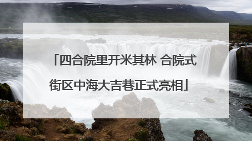四合院里开米其林 合院式街区中海大吉巷正式亮相