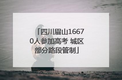 四川眉山16670人参加高考 城区部分路段管制