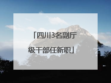 四川3名副厅级干部任新职
