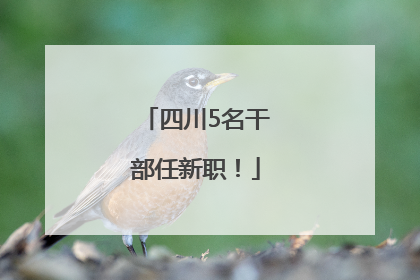 四川5名干部任新职！