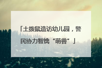 土拨鼠造访幼儿园，警民协力智擒“萌兽”