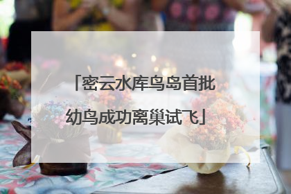 密云水库鸟岛首批幼鸟成功离巢试飞