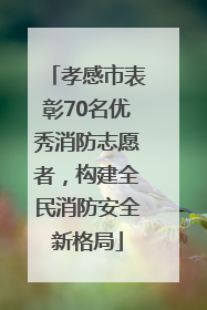 孝感市表彰70名优秀消防志愿者，构建全民消防安全新格局