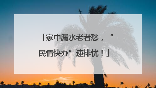 家中漏水老者愁，“民情快办”速排忧！