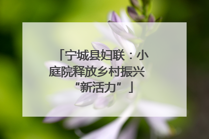 宁城县妇联：小庭院释放乡村振兴“新活力”