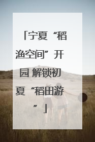 宁夏“稻渔空间”开园 解锁初夏“稻田游”