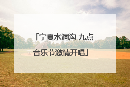 宁夏水洞沟 九点音乐节激情开唱