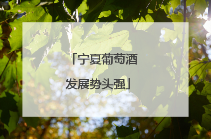 宁夏葡萄酒发展势头强
