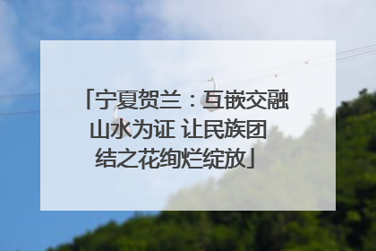 宁夏贺兰：互嵌交融 山水为证 让民族团结之花绚烂绽放