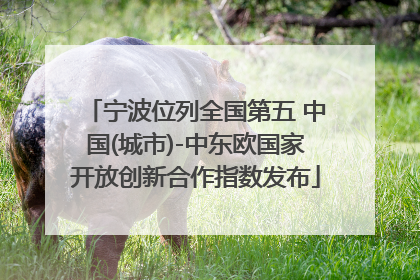 宁波位列全国第五 中国(城市)-中东欧国家开放创新合作指数发布