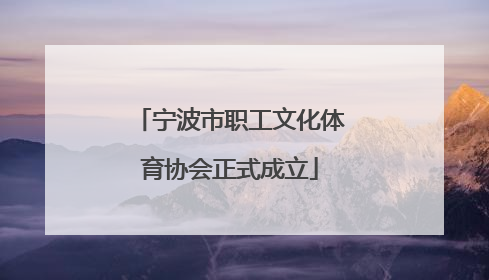 宁波市职工文化体育协会正式成立