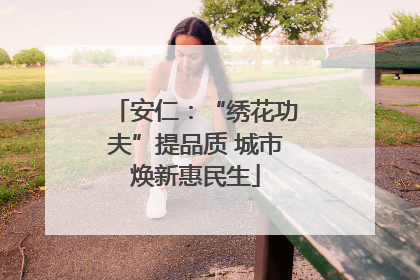安仁：“绣花功夫”提品质 城市焕新惠民生