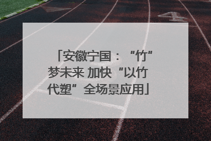 安徽宁国：“竹”梦未来 加快“以竹代塑”全场景应用