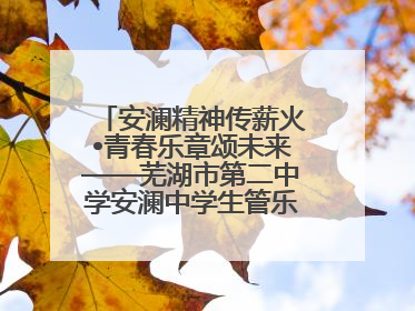 安澜精神传薪火•青春乐章颂未来——芜湖市第二中学安澜中学生管乐团第十二届公益展演圆满举行