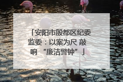 安阳市殷都区纪委监委：以案为尺 敲响 “廉洁警钟”