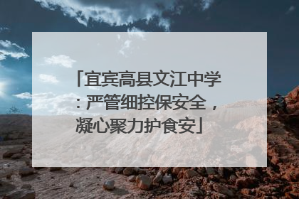 宜宾高县文江中学：严管细控保安全，凝心聚力护食安