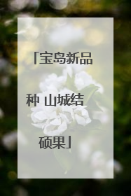宝岛新品种 山城结硕果