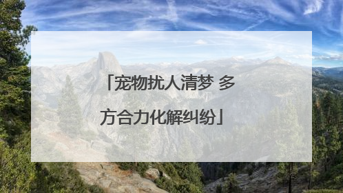 宠物扰人清梦 多方合力化解纠纷