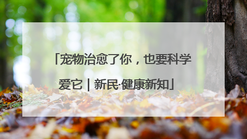宠物治愈了你，也要科学爱它｜新民·健康新知
