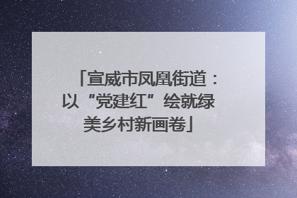 宣威市凤凰街道：以“党建红”绘就绿美乡村新画卷
