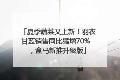 夏季蔬菜又上新！羽衣甘蓝销售同比猛增70%，盒马新推升级版