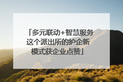 多元联动+智慧服务 这个派出所的护企新模式获企业点赞