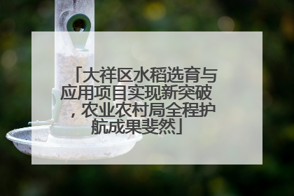 大祥区水稻选育与应用项目实现新突破，农业农村局全程护航成果斐然