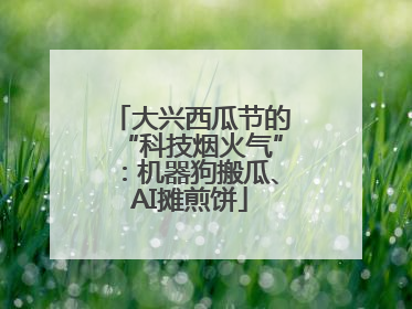 大兴西瓜节的“科技烟火气”：机器狗搬瓜、AI摊煎饼