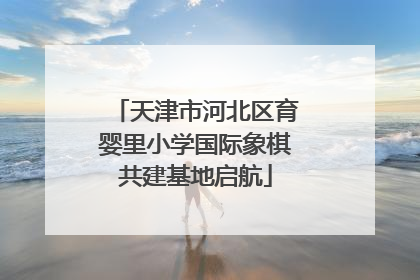天津市河北区育婴里小学国际象棋共建基地启航