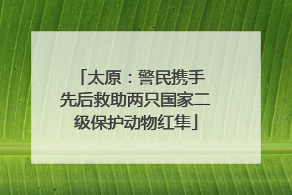 太原：警民携手 先后救助两只国家二级保护动物红隼