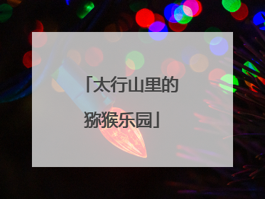太行山里的猕猴乐园
