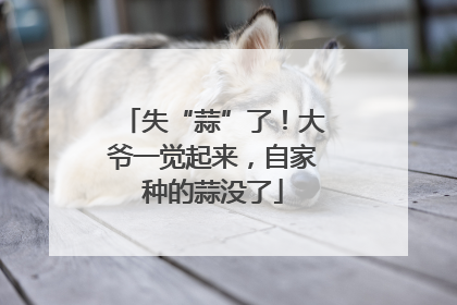 失“蒜”了！大爷一觉起来，自家种的蒜没了