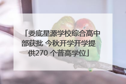 娄底星源学校综合高中部获批 今秋开学开学提供270 个普高学位