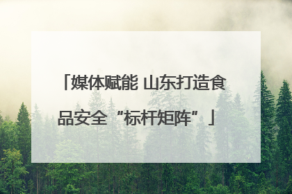 媒体赋能 山东打造食品安全“标杆矩阵”