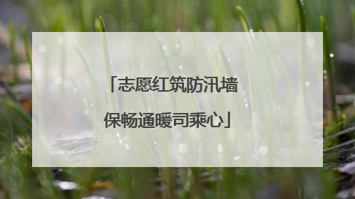 志愿红筑防汛墙 保畅通暖司乘心