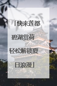 快来莲都碧湖赏荷 轻松解锁夏日浪漫