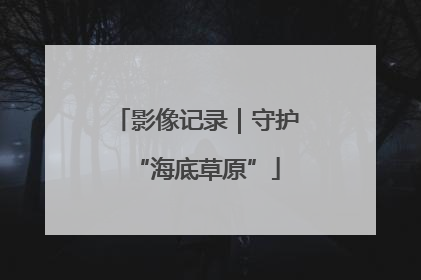 影像记录｜守护“海底草原”