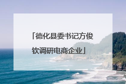 德化县委书记方俊钦调研电商企业