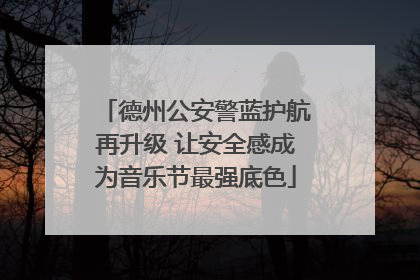德州公安警蓝护航再升级 让安全感成为音乐节最强底色