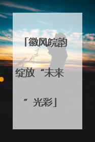 徽风皖韵绽放“未来”光彩